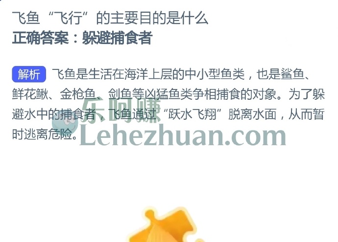 飞鱼飞行的主要目的是什么?