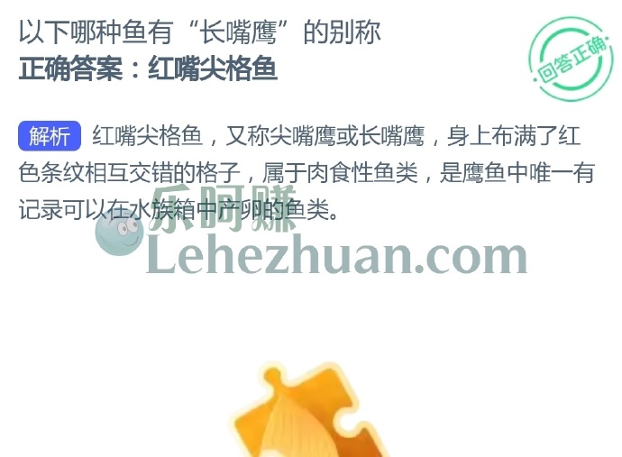 以下哪种鱼有长嘴鹰的别称?