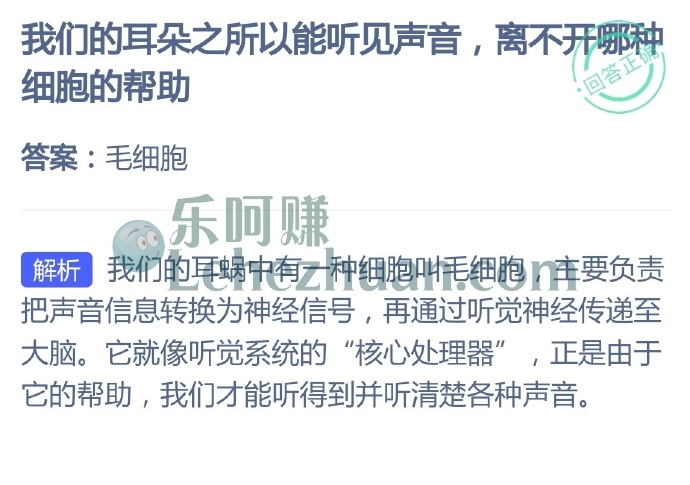 我们的耳朵之所以能听见声音,离不开哪种细胞的帮助?