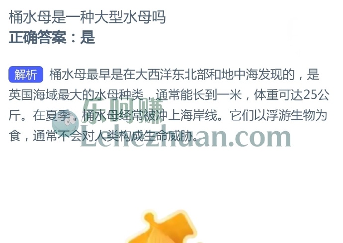 桶水母是一种大型水母吗?