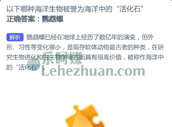 以下哪种海洋生物被誉为海洋中的活化石?
