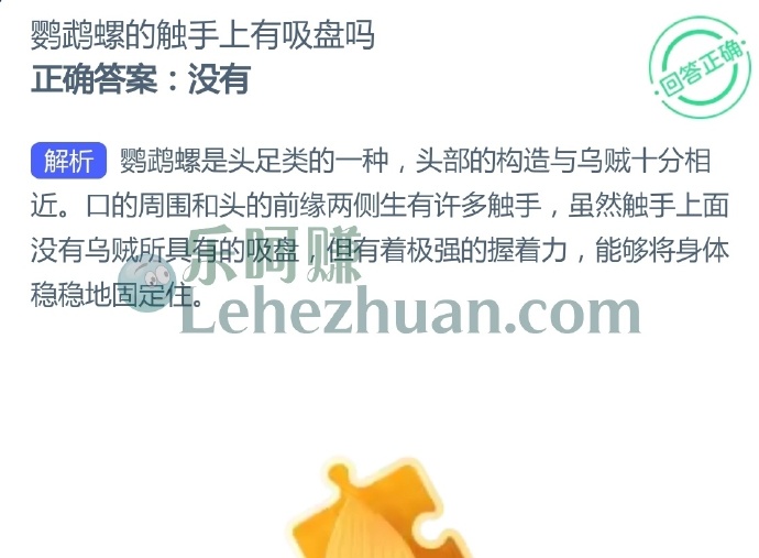 鹦鹉螺的触手上有吸盘吗?