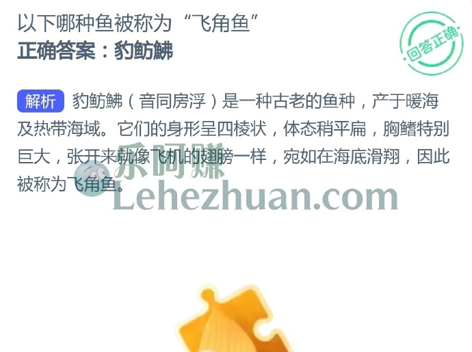 以下哪种鱼被称为飞角鱼?