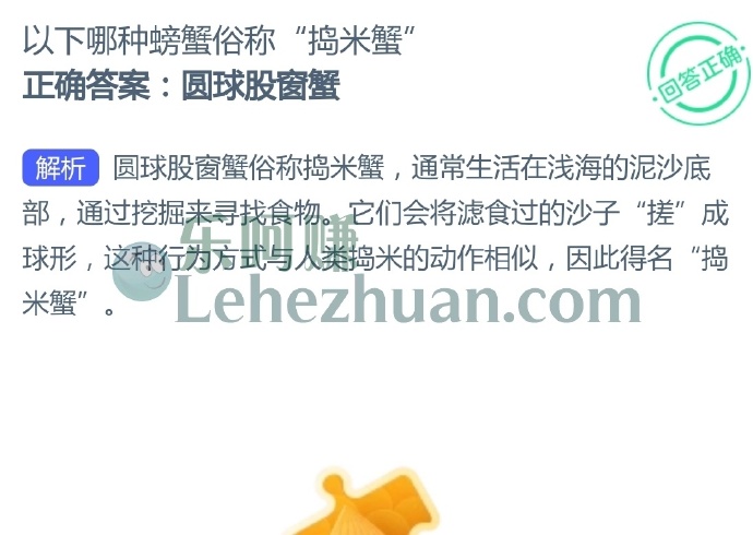 以下哪种螃蟹俗称捣米蟹?