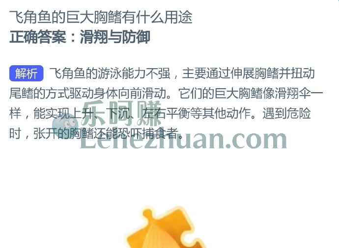 飞角鱼的巨大胸鳍有什么用途?