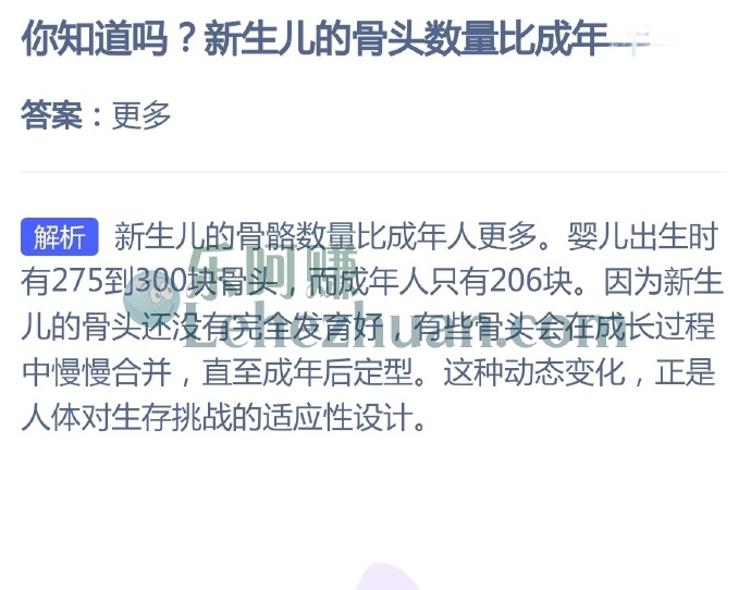 新生儿的骨头数量比成年人?