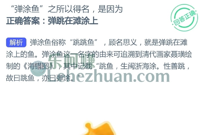 弹涂鱼之所以得名是因为?