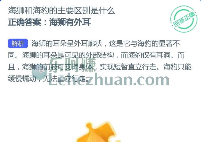 海狮和海豹的主要区别是什么?