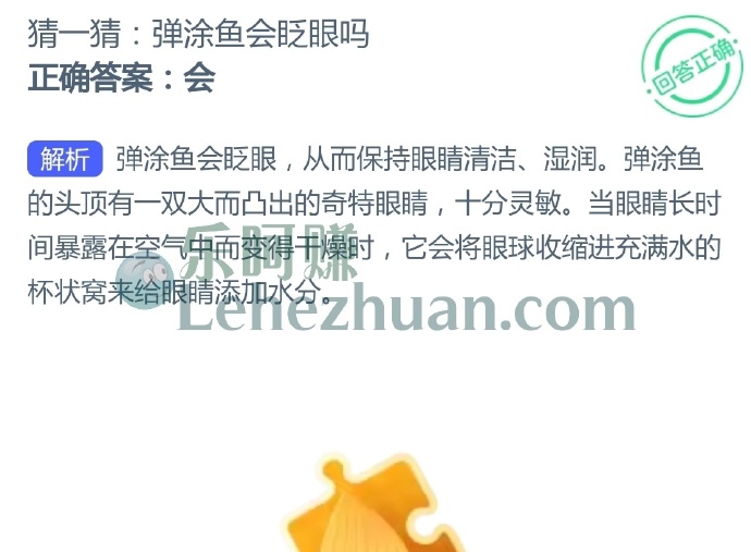 弹涂鱼会眨眼吗?