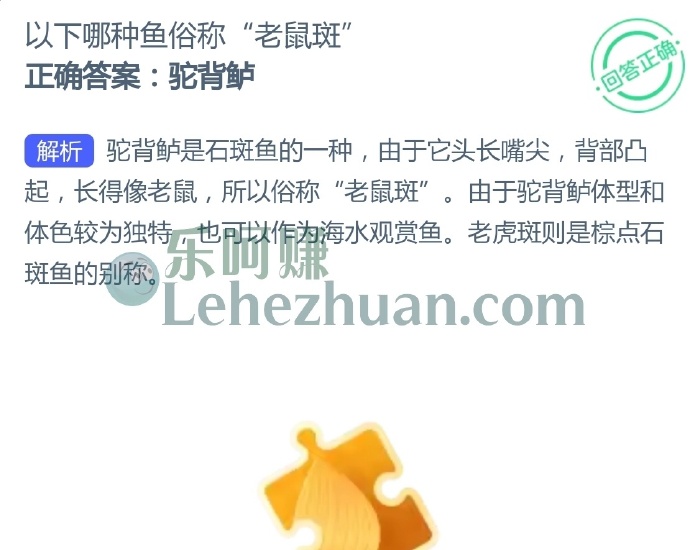 以下哪种鱼俗称老鼠斑?
