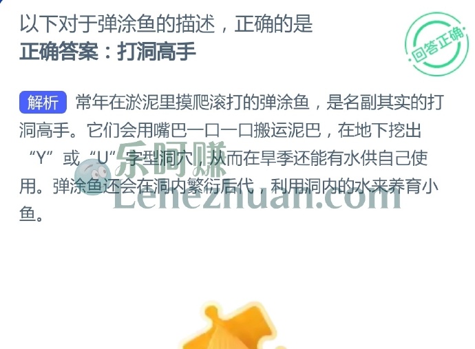 以下对于弹涂鱼的描述正确的是?