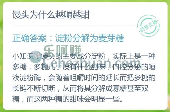 馒头为什么越嚼越甜?