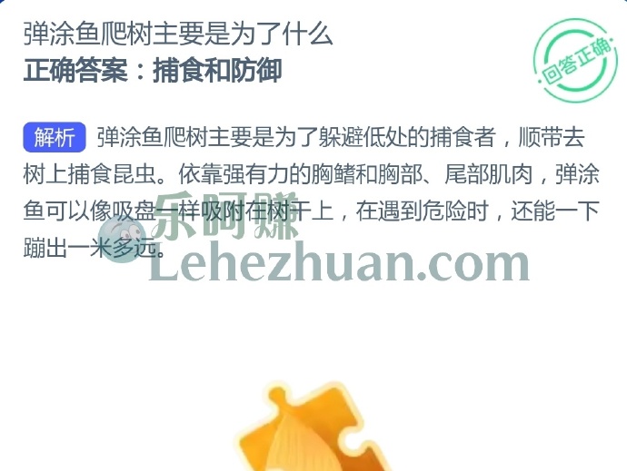 弹涂鱼爬树主要是为了什么?