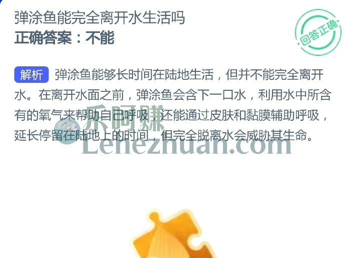 弹涂鱼能完全离开水生活吗?