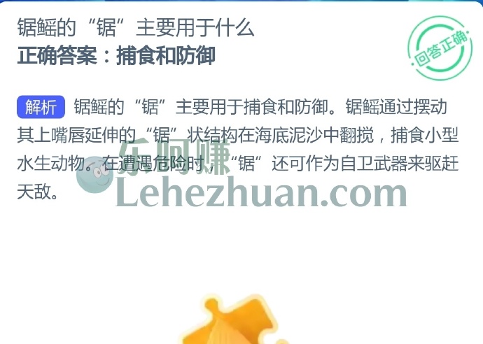 锯鳐的锯主要用于什么?