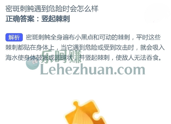 密斑刺鲀遇到危险时会怎么样?