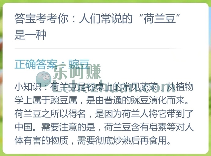 人们常说的荷兰豆是一种?