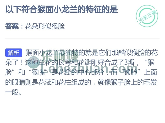 以下符合猴面小龙兰的特征的是?