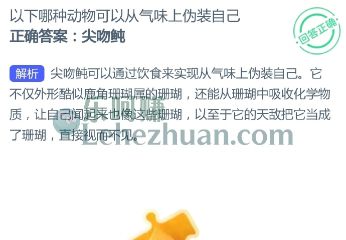 以下哪种动物可以从气味上伪装自己?