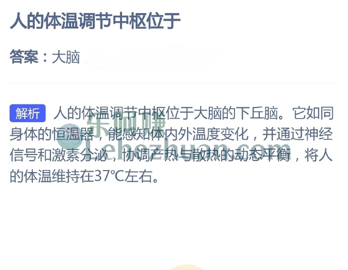 人的体温调节中枢位于?