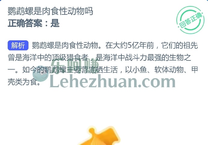 鹦鹉螺是肉食性动物吗?