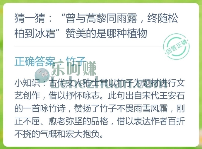 曾与蒿藜同雨露,终随松柏到冰霜赞美的是哪种植物?