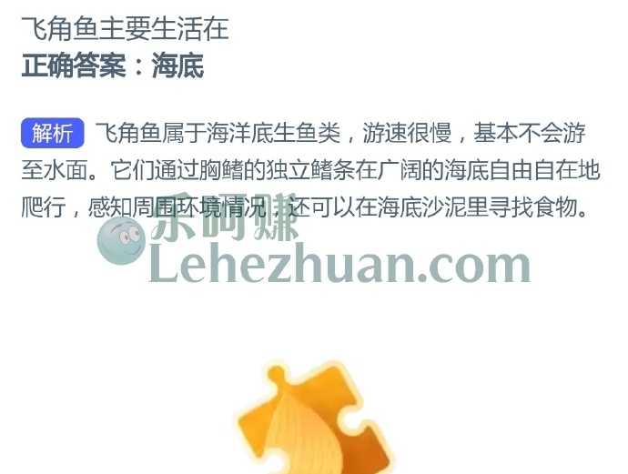 飞角鱼主要生活在?