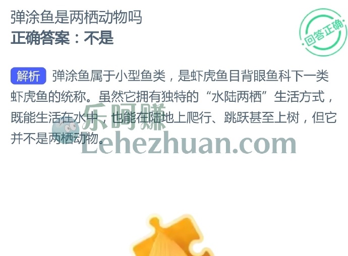弹涂鱼是两栖动物吗?
