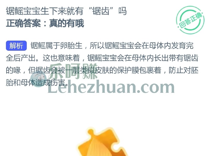 锯鳐宝宝生下来就有锯齿吗?