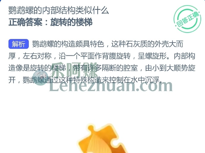 鹦鹉螺的内部结构类似什么?