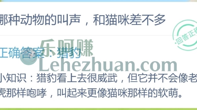 哪种动物的叫声,和猫咪差不多?