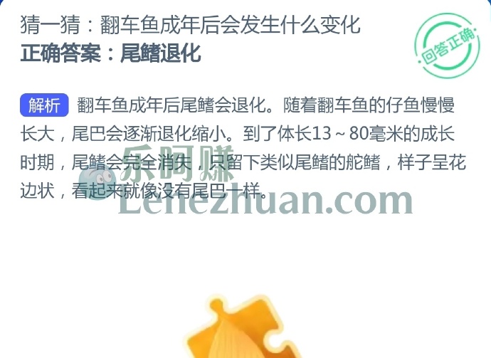 翻车鱼成年后会发生什么变化?