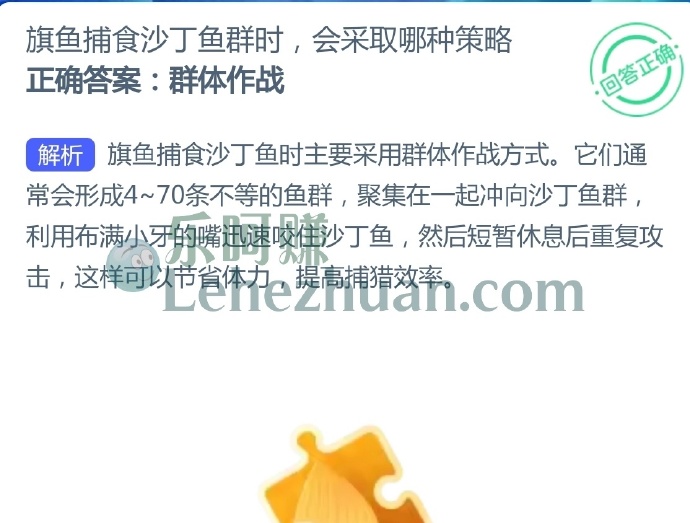 旗鱼捕食沙丁鱼群时,会采取哪种策略?