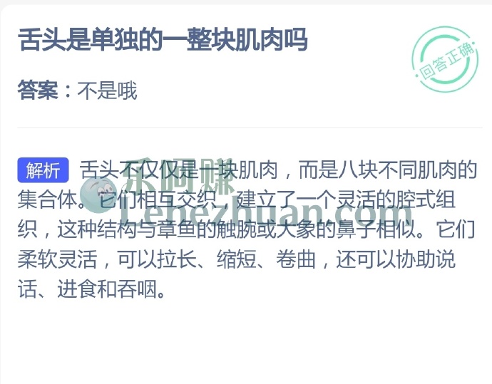 舌头是单独的一整块肌肉吗?