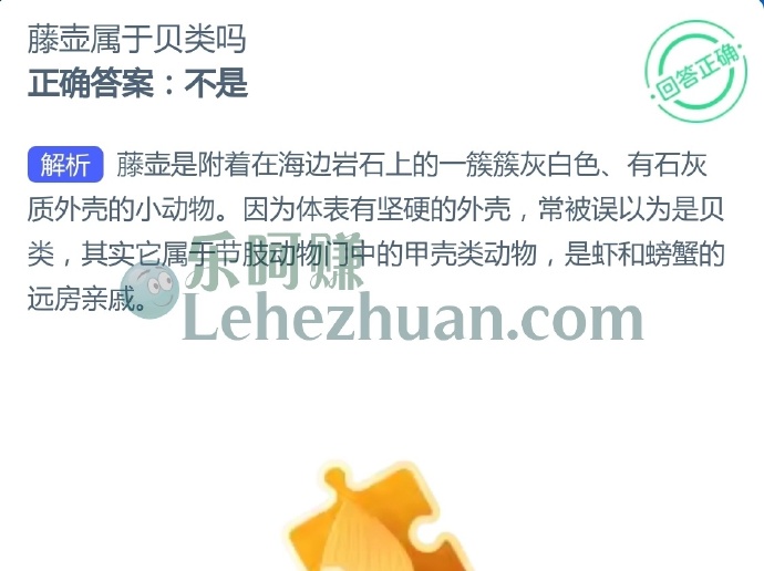 藤壶属于贝类吗?