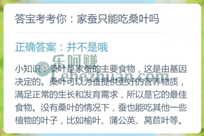 家蚕只能吃桑叶吗?