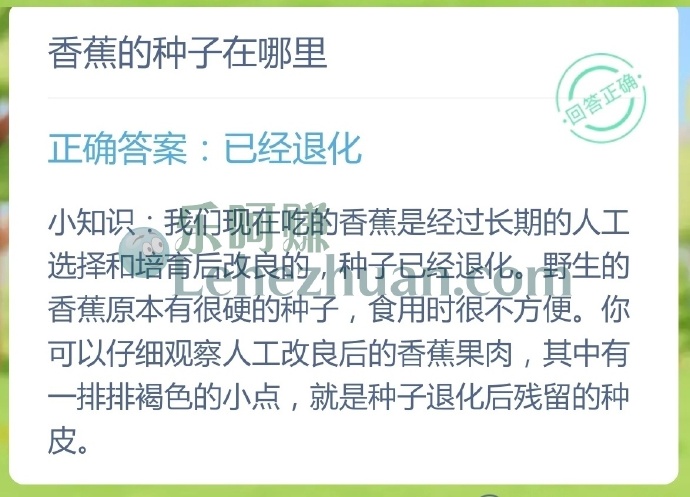 香蕉的种子在哪里?