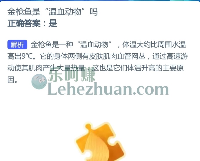 金枪鱼是温血动物吗?