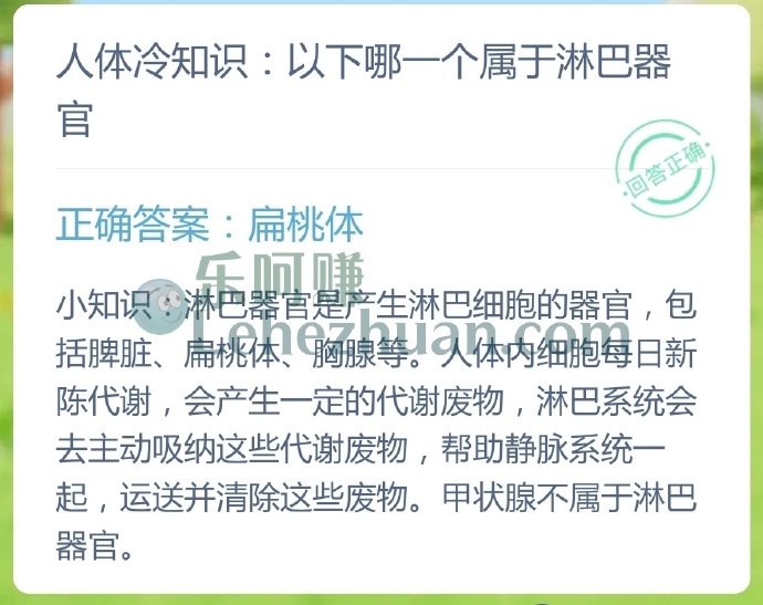 人体冷知识,以下哪一个属于淋巴器官?