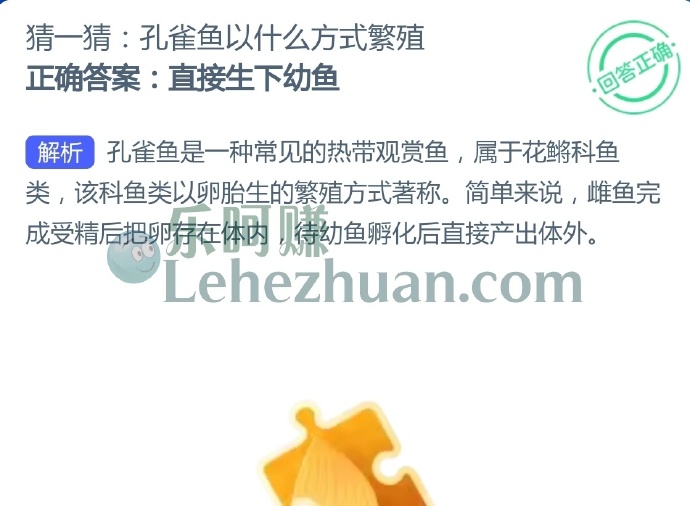 猜一猜:孔雀鱼以什么方式繁殖?