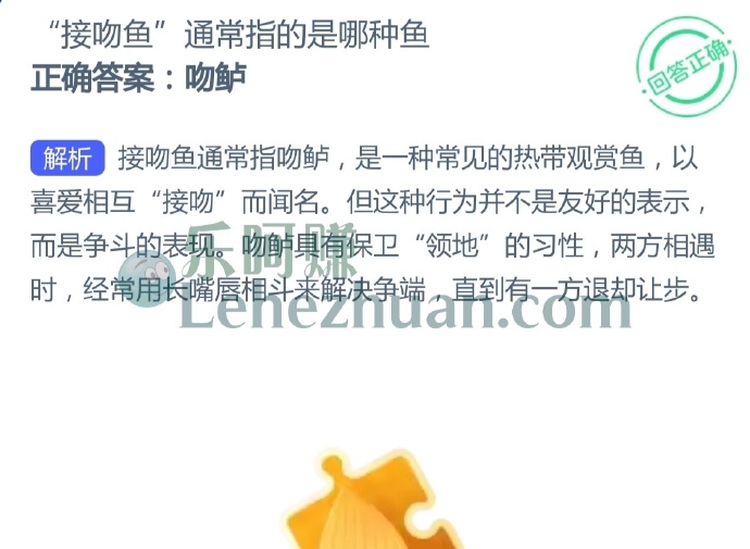 接吻鱼通常指的是哪种鱼?