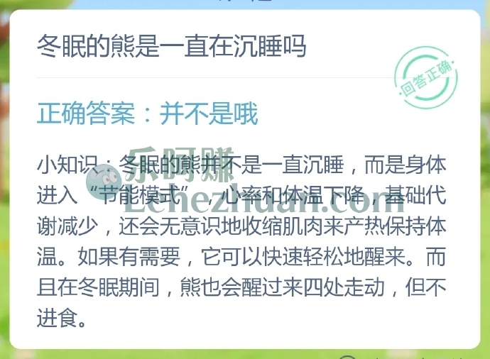 冬眠的熊是一直在沉睡吗?