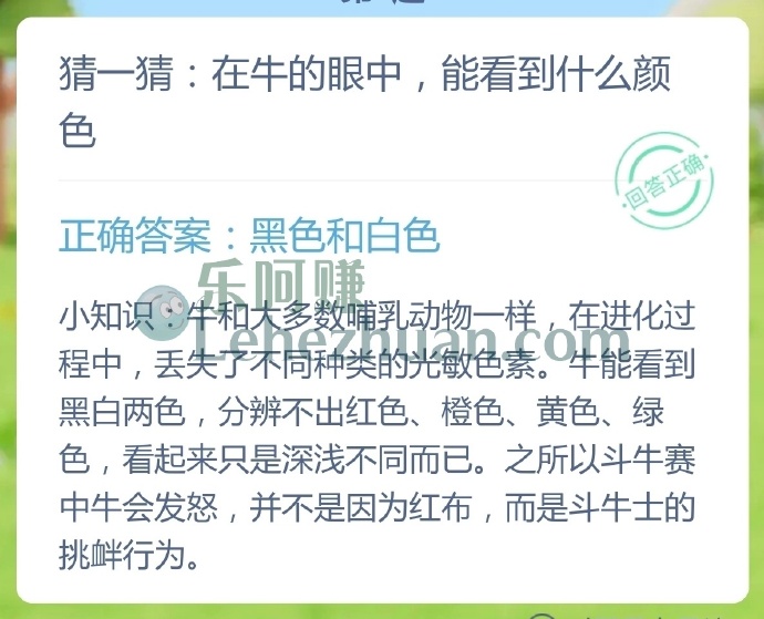 在牛的眼中,能看到什么颜色?