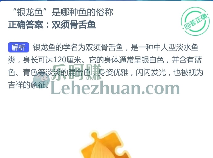 银龙鱼是哪种鱼的俗称?