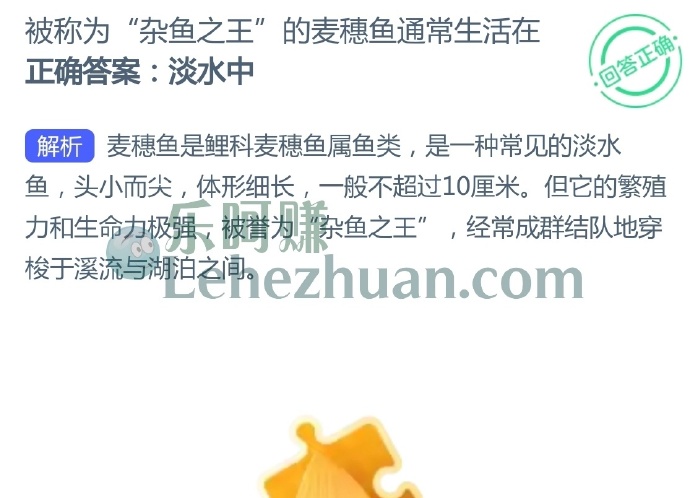 被称为杂鱼之王的麦穗鱼通常生活在?