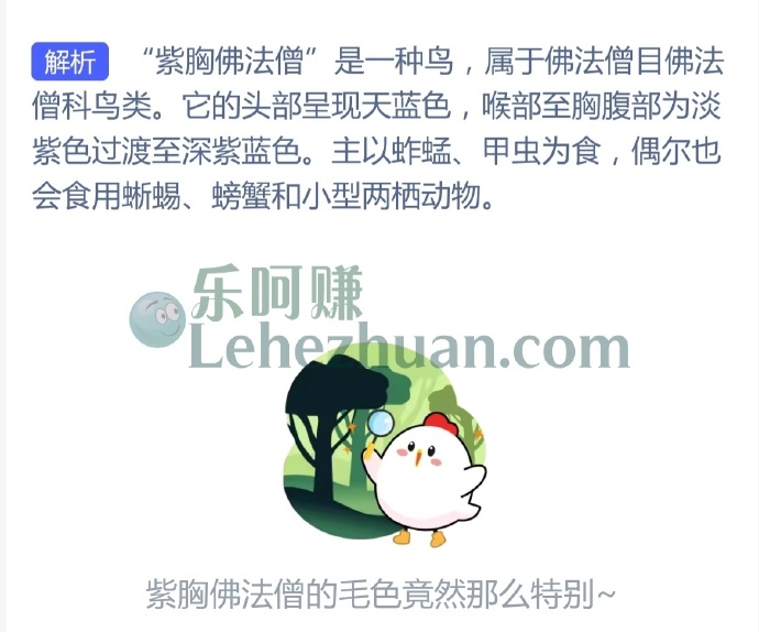 名字很有禅意的紫胸佛法僧是什么动物?