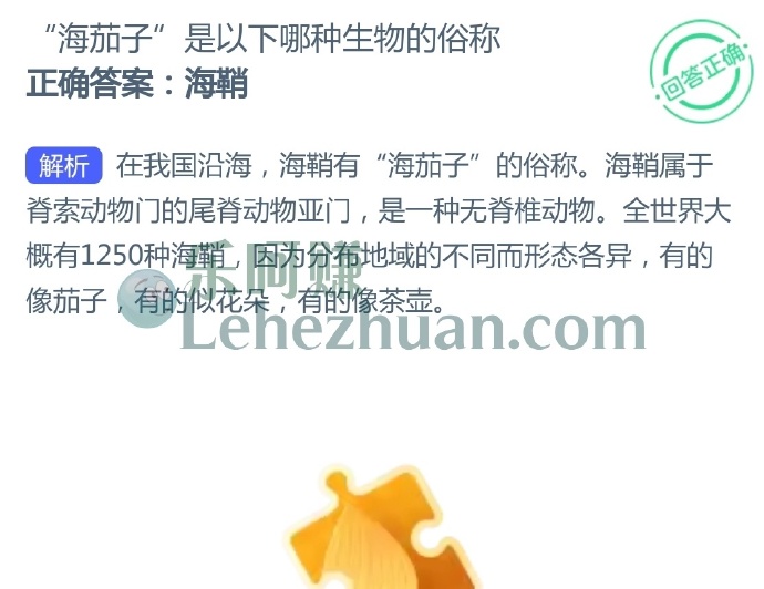 海茄子是以下哪种生物的俗称?