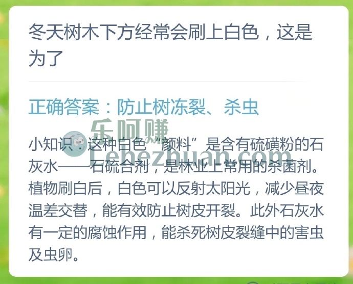 冬天树木下方经常会刷上白色是为了?