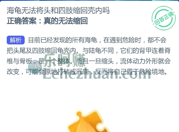 海龟无法将头和四肢缩回壳内吗?