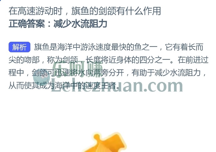 在高速游动时,旗鱼的剑颌有什么作用?